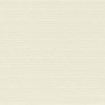 Roller _Flat_Polaris Blackout_Vanilla_RE04002