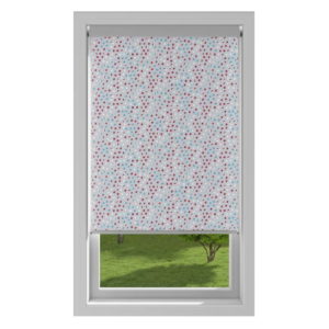 Roller_Window_Nolita_BO_Raspberry_RE85011